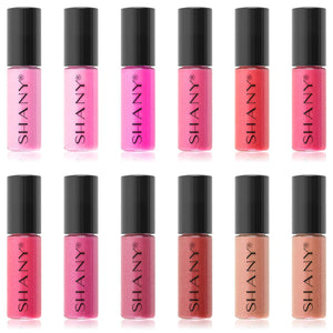 SHANY All That She Wants Lipgloss Set